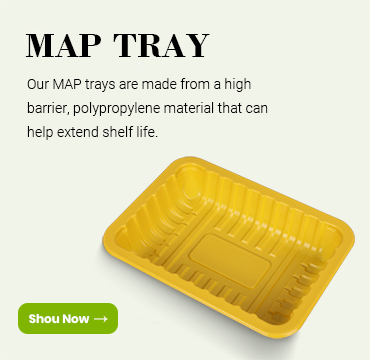 Immagine banner